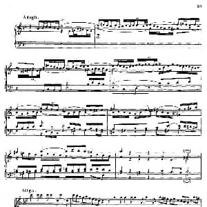 16 Concertos BWV 972 987 钢琴谱 约翰.塞巴斯蒂安.巴赫