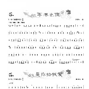 葫芦丝谱 | 葫芦丝曲精选 军港之夜 是你给我爱 王甲坤 王甲华编著