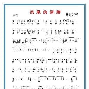 凤凰的翅膀_通俗唱法乐谱_词曲:向本光 向本光