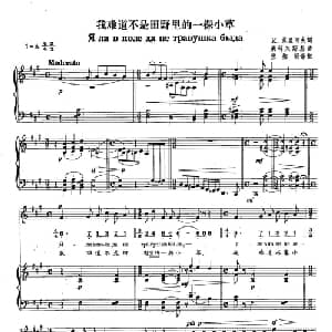 3我难道不是田野里的一棵小草 俄罗斯 _外国歌谱_词曲:И 苏里可夫 柴可夫斯基