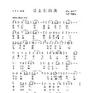 爱上你的美_歌曲简谱_词曲:徐环宙 刘泽湖