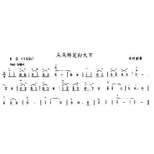 二胡谱 | 朵朵鲜花向太阳