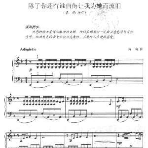 除了你还有谁值得让我为她而流泪 钢琴谱 蓝雨