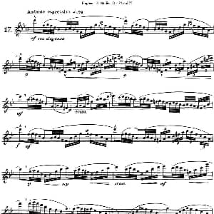 长笛曲谱 | 胡埃斯24首长笛练习曲Op.32 NO.17 胡埃斯