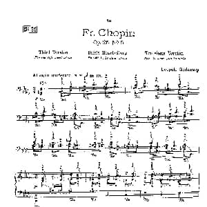 53首以肖邦练习曲为素材而作的练习曲 钢琴谱 里奥鲍尔德 戈多夫斯基