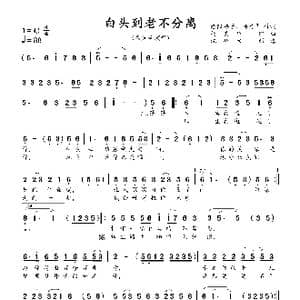 白头到老不分离_歌曲简谱_词曲:潜阳游子 杨美华 杨美华