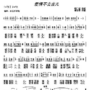 爱情不去皮儿_通俗唱法乐谱_词曲:都广省 崔立营