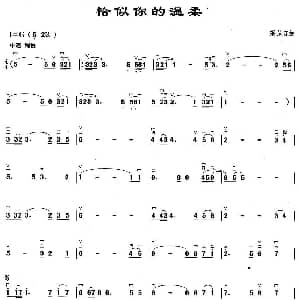 二胡谱 | 恰似你的温柔 梁弘志