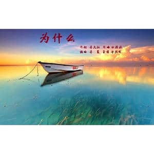 为什么_歌曲简谱_词曲:李大江 任清彪