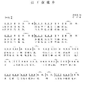 打工在他乡_歌曲简谱_词曲:皮万俊 肖矿