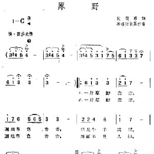 原野 波兰 _外国歌谱_词曲: 赛格廷斯基