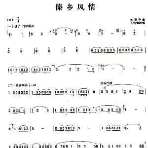 葫芦丝谱 | 傣乡风情 王慧中