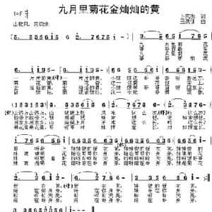 九月里菊花金灿灿的黄_民歌简谱_词曲:卜庆振 王洪训
