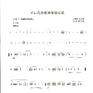 笛子谱 | 不让我的眼泪陪你过夜