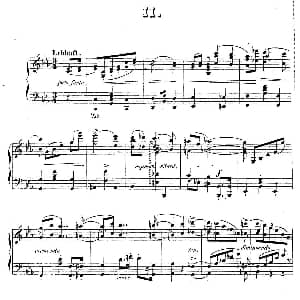 Waltzes Op.23 钢琴谱 狄奥多 柯希纳