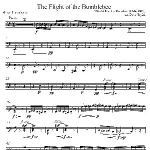 The Flight of the BumBlebee 低音长号