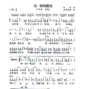 第一眼的爱情_通俗唱法乐谱_词曲:林雨 泷泽玖健