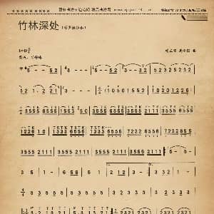 葫芦丝谱 | 竹林深处 杨正玺 龚全国