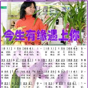 今生有缘遇上你_歌谱投稿
