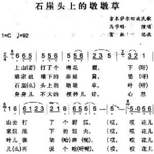石崖头上的墩墩草_民歌简谱_词曲: 富林记录