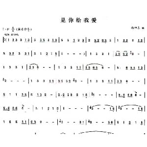 葫芦丝谱 | 是你给我爱 徐沛东