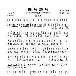 斑马斑马_歌曲简谱_词曲:宋冬野 宋冬野