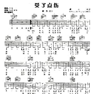 受了点伤 吉他谱 阿桑 施人诚