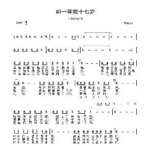 那一年我十七岁_歌曲简谱