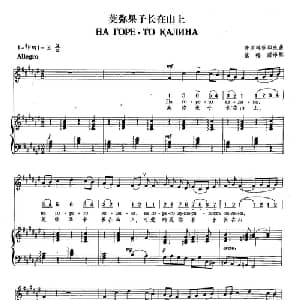 12荚弥果子长在山上 俄罗斯 _外国歌谱_词曲: 普罗科菲耶夫