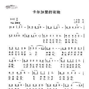 卡尔加里的夜晚_歌曲简谱_词曲:王小雅 王焕升