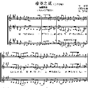 希望之花 德国 _外国歌谱_词曲:布朗 门德尔松