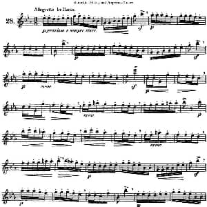 长笛曲谱 | 三十首基础及提高练习曲 NO.28 Garibold 加里波第