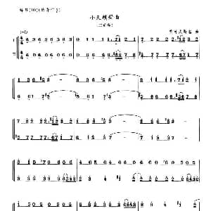 笛子谱 | 小天鹅舞曲 二重奏 柴科夫斯基