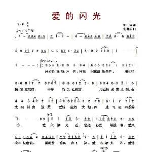 爱的闪光_歌曲简谱_词曲:郑南 何建东