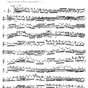 长笛曲谱 | 12首大技巧练习曲之5 Moyse 莫伊斯