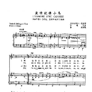 41爱情就像小鸟 意大利 _外国歌谱_词曲:贝尔法果尔/尼扎 伊琪尼