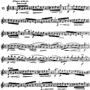 长笛曲谱 | 三十首基础及提高练习曲 NO.21 Garibold 加里波第