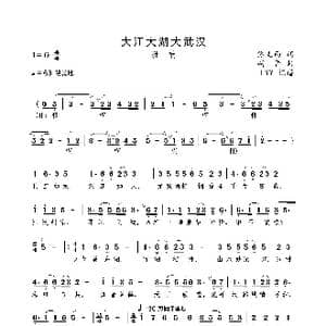 大江大湖大武汉_歌曲简谱_词曲:佟文西 胡晋
