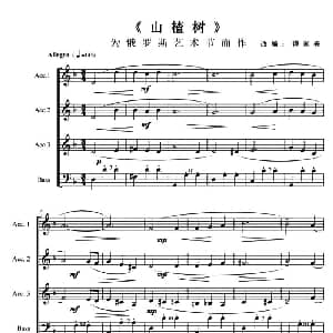 手风琴谱 | 山楂树 2016 俄罗斯符拉迪沃斯托克 海参崴 国际手风琴乐团音乐节 谭家亮