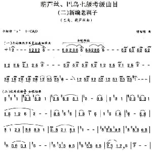 巴乌七级考级曲目 新编老调子 胡结续