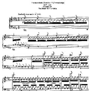 12 Etudes d'execution Transcendante S.139 钢琴谱 弗兰茨 李斯特