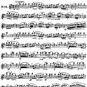 长笛曲谱 | 二十首练习曲作品131号 NO.16 Garibold 加里波第