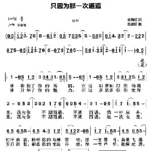 只因为那一次邂逅_通俗唱法乐谱_词曲:姜海红 聂建新