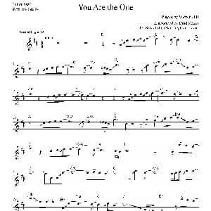 萨克斯谱 | You Are The One 次中音/高音萨克斯谱