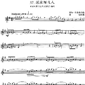 小提琴谱 | 深夜陌生人 美国电影 钻石大窃案 插曲 波特 坎普弗特曲 雄达改编