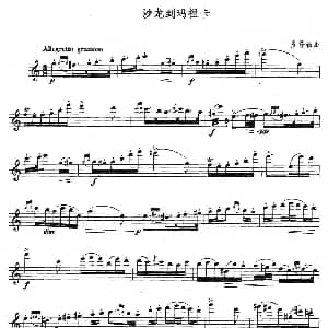 长笛曲谱 | 沙龙到玛祖卡 多普勒