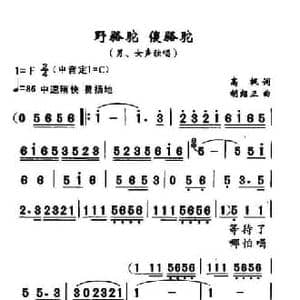 野骆驼 傻骆驼_民歌简谱_词曲:高枫 胡绍正