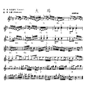 电子琴谱 | 火鸡 美国民谣 吴嘉平