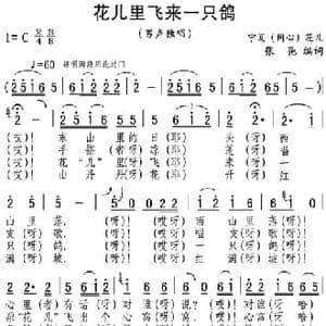 花儿里飞来一只鸽_民歌简谱_词曲:张弛编词