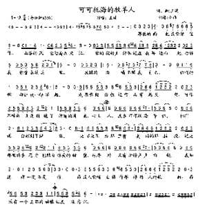 可可托海的牧羊人_歌曲简谱_词曲:王琪 王琪